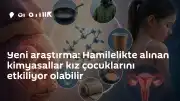 Harvard Üniversitesi Araştırması: Hamilelik Dönemindeki Kimyasal Maruziyet Kız Çocuklarını Risk Altına Atıyor Olabilir