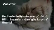 Bilim İnsanları Kedilerle İletişim İçin 'Yavaş Göz Kırpma' Yöntemini Önerdi