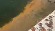 Marmara Denizi'ndeki Alg Patlaması Müsilaj Riski Taşıyor mu?