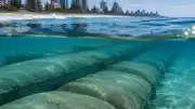 Gold Coast Kıyılarında Kıyı Erozyonuna Karşı Yapay Resif Uygulaması