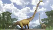 Tayland'da Yeni Bir Dinozor Türü Keşfedildi: Uragasaurus kalasinensis