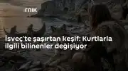 İsveç'teki Keşif Sonrası Kurtların Evcilleşme Süreci Yeniden Tartışılıyor