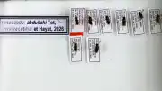 Bilim İnsanının Yeni Keşfettiği Sinek Türüne, Vefat Eden Oğlunun Adı Verildi