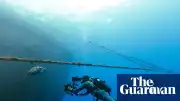 Blue Planet III, Yapay Zeka Kaygılarına Karşı Otantik Görüntülerle Geliyor