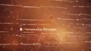 Dictionary.com'dan Yılın Kelimesi: 'Maxxing'