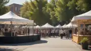 Tarım ve Orman Bakan Yardımcısı Ahmet Gümen, TEKNOFEST Şanlıurfa'da gençlere yönelik tarım desteklerini anlattı