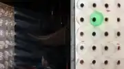 Bilimsel Araştırma Sonucu: Eco-Cooler Sisteminin Soğutma Performansı Hakkında Yeni Veriler