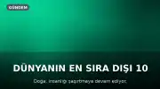 Dünyanın En Sıra Dışı 10 Doğa Olayı: Bilim Çözülenleri ve Çözülemeyenleri