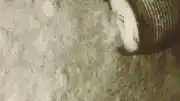 Okyanusun 5 Bin Metre Derinliğindeki Radyoaktif Atık Varlilleri İlk Kez Görüntülendi