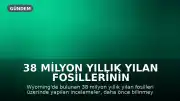 38 Milyon Yıllık Yılan Fosillerinin Sırrı Çözüldü: Yeni Bir Tür Keşfedildi