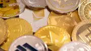 Altcoinlerde Yeni Dönem: Gelir Odaklı Değerleme Vurgusu