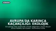 Avrupa'da Karınca Kaçakçılığı: Ekolojik Denge ve Altyapı İçin Tehdit Oluşturuyor