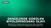 Denizlerde Görülen Biyolüminesans Olayı Mavi Işık Saçıyor