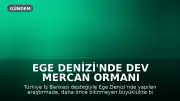 Ege Denizi'nde Dev Mercan Ormanı Keşfedildi