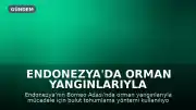 Endonezya'da Orman Yangınlarıyla Mücadelede Bulut Tohumlama Yöntemi Kullanılıyor