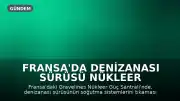 Fransa'da Denizanası Sürüsü Nükleer Santrali Durdurdu