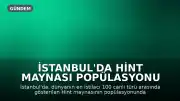 İstanbul'da Hint Maynası Popülasyonu Artıyor: Yerli Türler İçin Tehdit