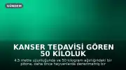 Kanser Tedavisi Gören 50 Kiloluk Piton Hayvan Sağlığı Açısından Tarihe Geçti