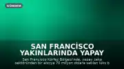 San Francisco Yakınlarında Yapay Zeka Zenginliğiyle 70 Milyon Dolara Satılan Malikanenin Rekor Kırması
