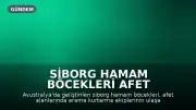 Siborg Hamam Böcekleri Afet Alanlarında Hayat Kurtarabilir