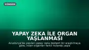Yapay Zeka ile Organ Yaşlanması Araştırması: Farklı Organlar Farklı Hızlarda Yaşlanıyor