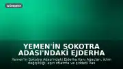 Yemen'in Sokotra Adası'ndaki Ejderha Kanı Ağaçları İklim Krizi ve İnsan Etkisiyle Yok Olma Tehlikesiyle Karşı Karşıya