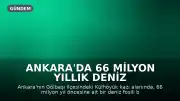 Ankara'da 66 Milyon Yıllık Deniz Fosil Bulundu: "Ankara'da Deniz mi Vardı?" Sorusu Yanıt Buldu