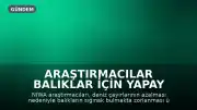 Araştırmacılar Balıklar İçin Yapay Deniz Çayırları Oluşturdu