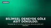 Bilimsel Deneyde Göle Asit Döküldü: Ekolojik Felaket Yaşandı