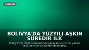 Bolivya'da Yüzyılı Aşkın Süredir İlk Kez Yeni Bir Yabani Kedi Türü Tanımlandı