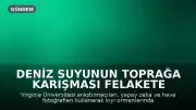 Deniz Suyunun Toprağa Karışması Felakete Yol Açtı: 10 Milyondan Fazla Ağaç Yok Oldu