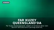 Far Kuzey Queensland'da 'Sofistike Operasyonla' 800.000 Arı Çalındı
