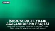 İskoçya'da 26 Yıllık Ağaçlandırma Projesi Beklenmedik Su Kıtlığına Yol Açtı
