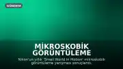 Mikroskobik Görüntüleme Yarışmasında Minik Canlılar Görücüye Çıktı