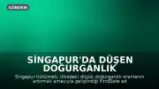 Singapur'da Düşen Doğurganlık Oranlarına Karşı Hükümet Flört Uygulaması Başlattı: İlk Hedef Memurlar