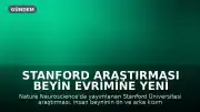 Stanford Araştırması Beyin Evrimine Yeni Bir Bakış Açısı Getiriyor