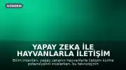 Yapay Zeka ile Hayvanlarla İletişim Kurmak: Bilimsel Yaklaşım ve Eleştiriler