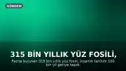 315 Bin Yıllık Yüz Fosili, İnsanlık Tarihini Yeniden Yazdı