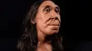75 Bin Yıllık Neandertal Kalıntısında Şiddet Kanıtı: Ahşap Mızrakla Ölümcül Vuruş