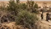 Afrika ve Asya'da Çölleşmeyle Mücadele Projeleri Çevre Krizine Yol Açtı