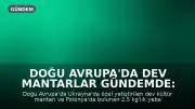Doğu Avrupa'da Dev Mantarlar Gündemde: Ukrayna'da Kültür, Polonya'da Yabani Tür Büyüdü