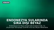 Endonezya Sularında Sıra Dışı Beyaz Desenlere Sahip Dev Manta Vatozu Görüldü