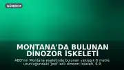Montana'da Bulunan Dinozor İskeleti Milyonlarca Dolara Satışa Çıkıyor