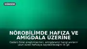 Nörobilimde Hafıza ve Amigdala Üzerine Çığır Açan Keşif: Anıların Kalıcılığı İlk Bakışta Belirleniyor