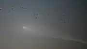 SpaceX Roketi Görüntüleri Gökyüzünde Işık Şöleni Yarattı