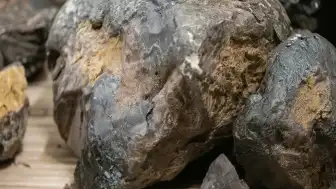 Ambergris: Çöp Sanılan Ancak Değeri Milyonları Bulan Deniz Kehribarı
