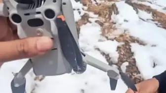 Kartal, Çekim Yapan Drone'u Kaparak Zirveye Taşıdı