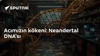 Neandertal DNA'sının Acı Algısı Üzerindeki Etkisi Araştırılıyor