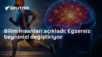 Bilim insanları: Egzersiz beyni değiştiriyor