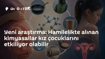 Harvard Üniversitesi Araştırması: Hamilelik Dönemindeki Kimyasal Maruziyet Kız Çocuklarını Risk Altına Atıyor Olabilir
